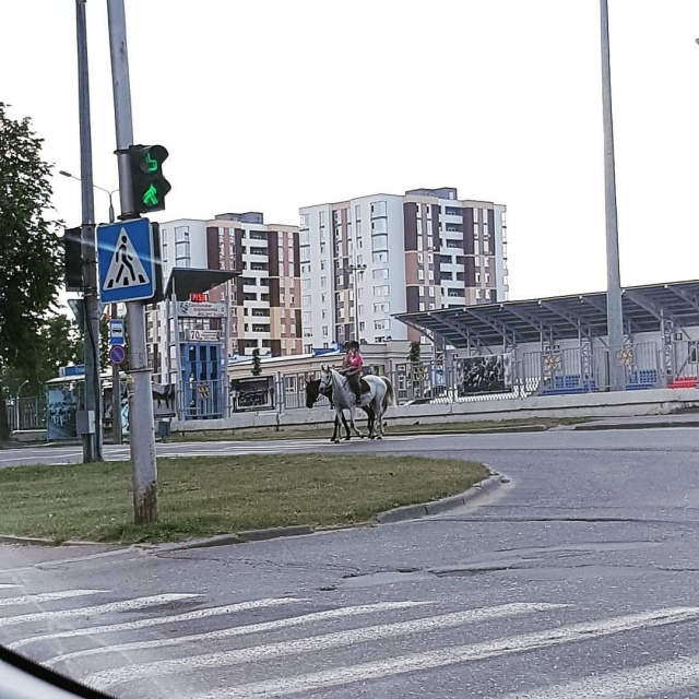 Ходят лошадью.jpg